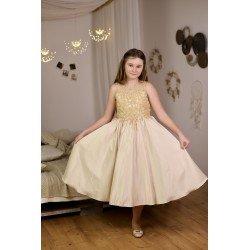 Gold Confirmation Dress Style EF 13